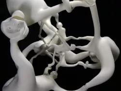 More fun than a hypercube of monkeys