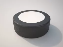 Puck Ball 3D model
