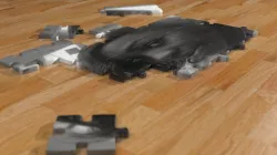 Puzzle Pieces