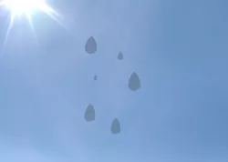Rain Drop