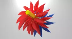 rangoli