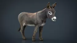 Realistic Donkey Low-poly  3D model