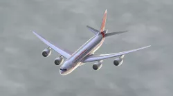 Request: Boeing 737-800 (707)