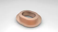 Rib