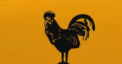 Rooster