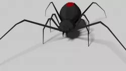 Spider 3D model