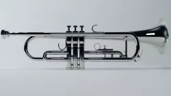 Trumpet 3D model