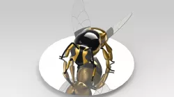 Wasp