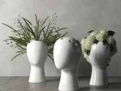 Wig Vases with Plants 3D model
