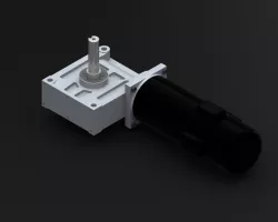 Worm gear motor