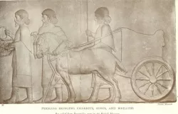 3000 years before Dunlop