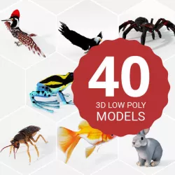 40 Models Animal Pack - Collection Low-poly  3D model