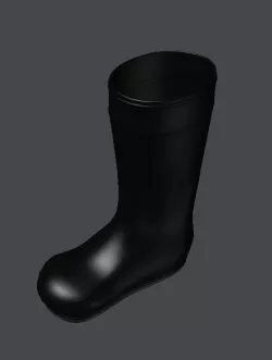 A Boot 3D model