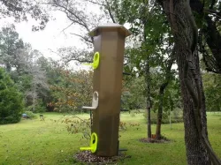 Bird feeder cup