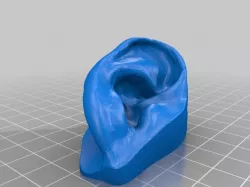 BodyParts3D Ears