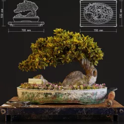 Bonsai 3D model