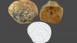 Bread Bun 02 - Low Poly - Photogrammetry Low-poly  3D model