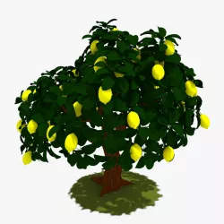 Cartoon Lemon Tree Low-poly  3D model