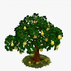 Cartoon Pear Tree 3D model