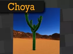 Choya Mexican Desert Plants Low-poly  3D model