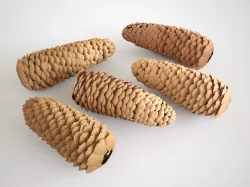 Cones 3D model