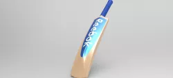 Cricket Bat