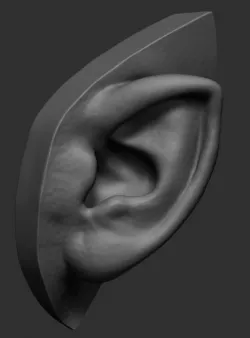Elf Ear 3D model