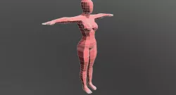 Female Base Mesh Low-poly  3D model