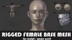 Fully Rigged Base Mesh with Face Rig for Blender Low-poly  3D model