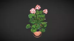 Geranium Flower Low-poly  3D model