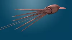 Giant Squid 3D model