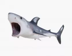 Great White Shark 02 Animated Low-poly  3D model