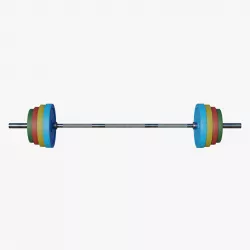 Gym Barbell and Weight Plates - Low Poly 3D model