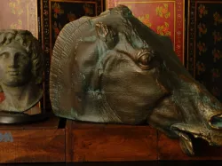 Head of a horse of Selene