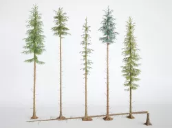 High Pinetree 3D model