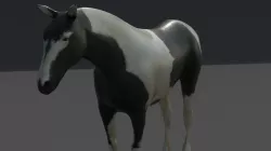 horse Low-poly  3D model