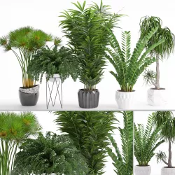 Houseplant 27 3D model
