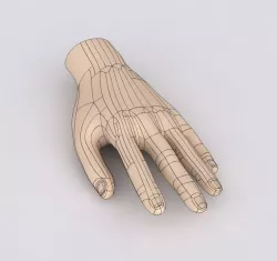 HUMAN HAND