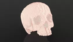 KeyShot Toon Render: Skull