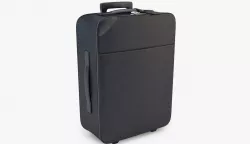 Louis Vuitton Pegase Epi 3D model