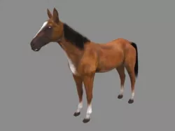 Modal Horse1 Low-poly  3D model