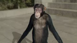 monkey 3D model