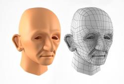 Male face 50 year old Base sculpt | 3D model