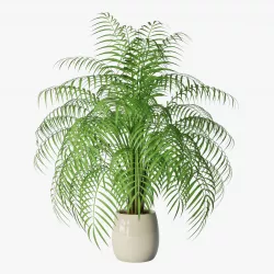 Palm 05 3D model
