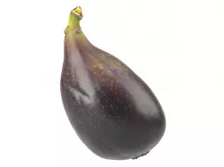Photorealistic Fig 3D Scan  3D model