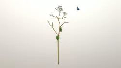 Quray and Butterfly animated Low-poly  3D model