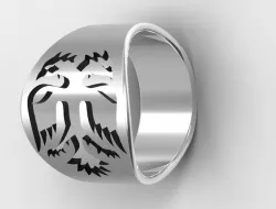 ring3