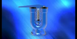 Safety valve 2