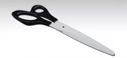 Scissor