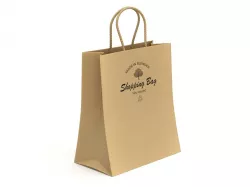 Shopping Bag 3D model